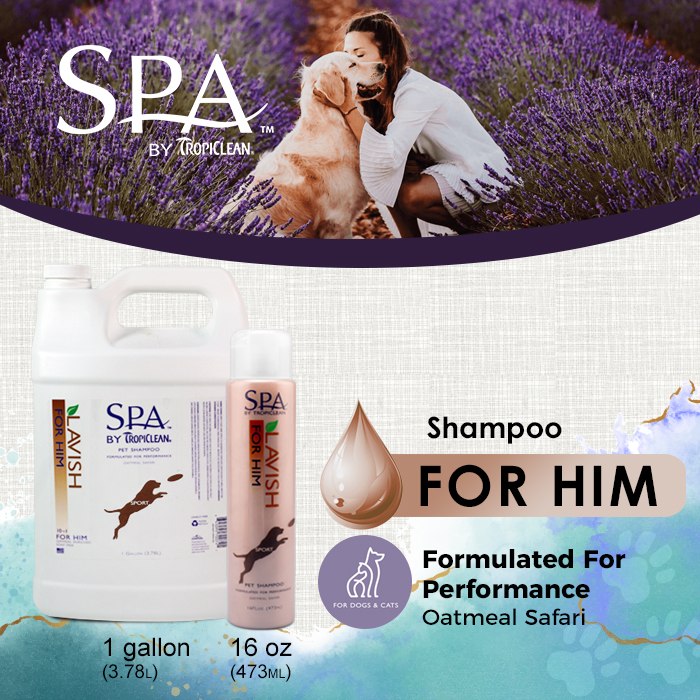 SPA SHAMPOO - FOR HIM